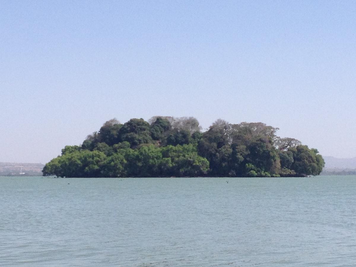 Lakemark Hotel And Tour Service Bahir Dar Eksteriør bilde