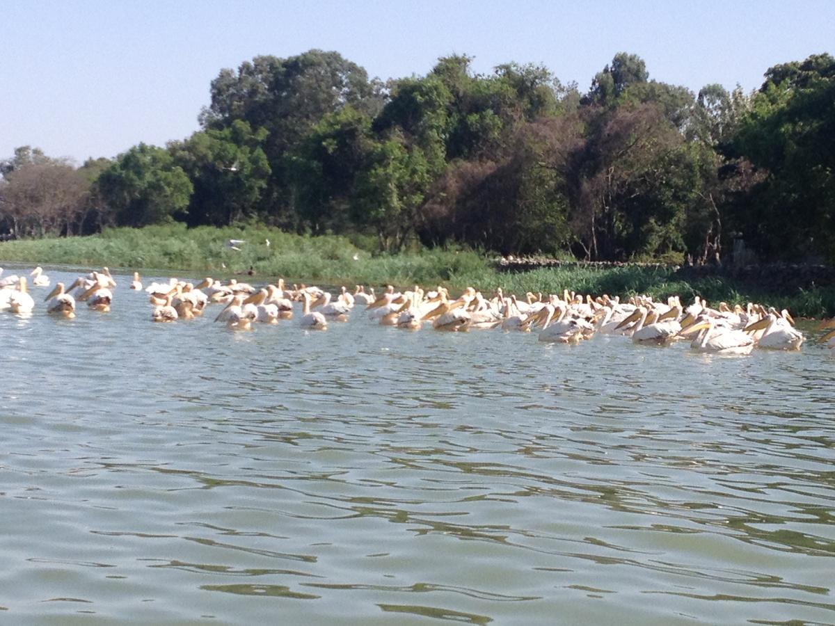 Lakemark Hotel And Tour Service Bahir Dar Eksteriør bilde