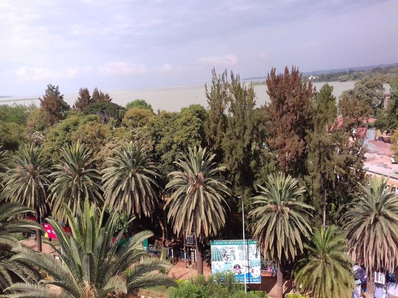 Lakemark Hotel And Tour Service Bahir Dar Eksteriør bilde